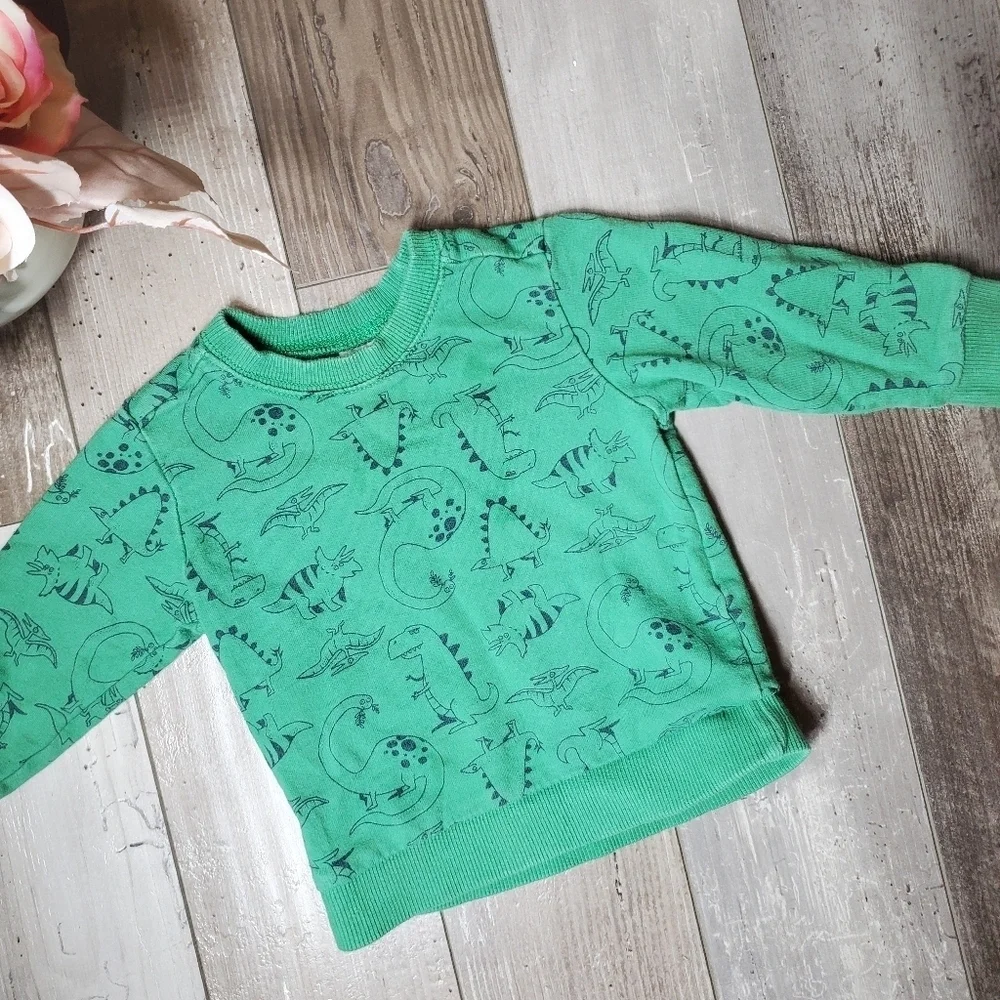 Carter's Green T-Rex Dinosaur Fleece Pullover Sweatshirt Boys Size 18m EUC